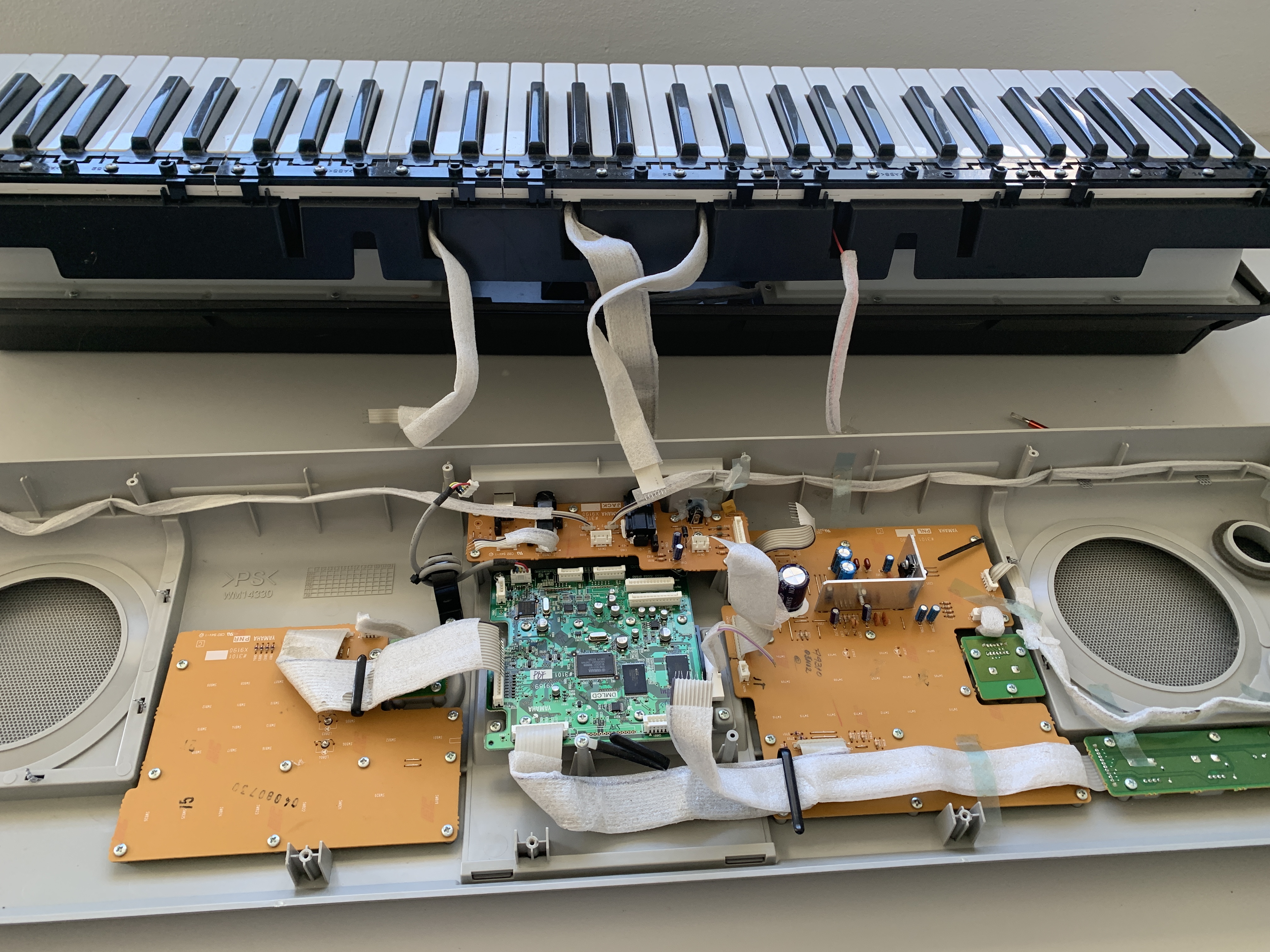 Gutshot of the keyboard
